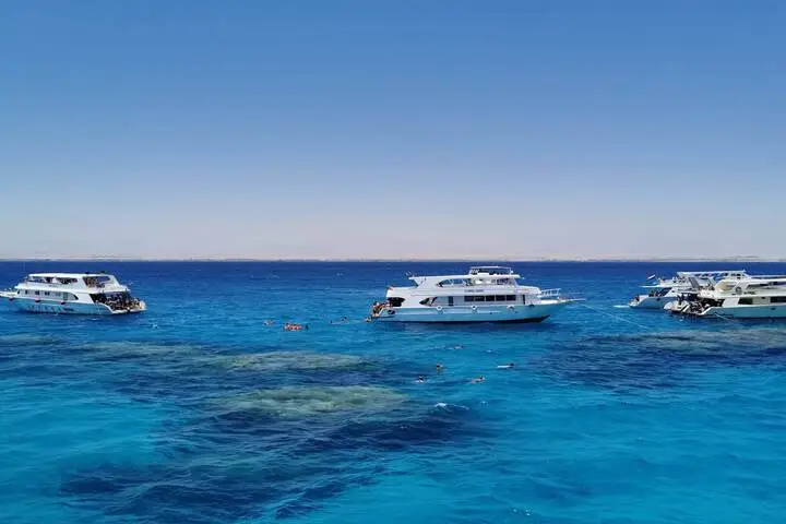The Science and Serenity of Red Sea Coral Reefs: What Travelers Should Know Before Visiting