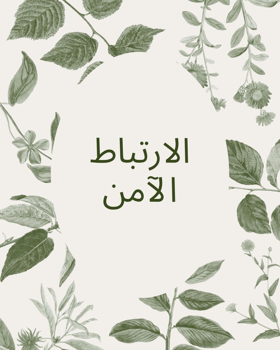 نشرة قَلَمَ البريدية - الارتباط الآمن#29