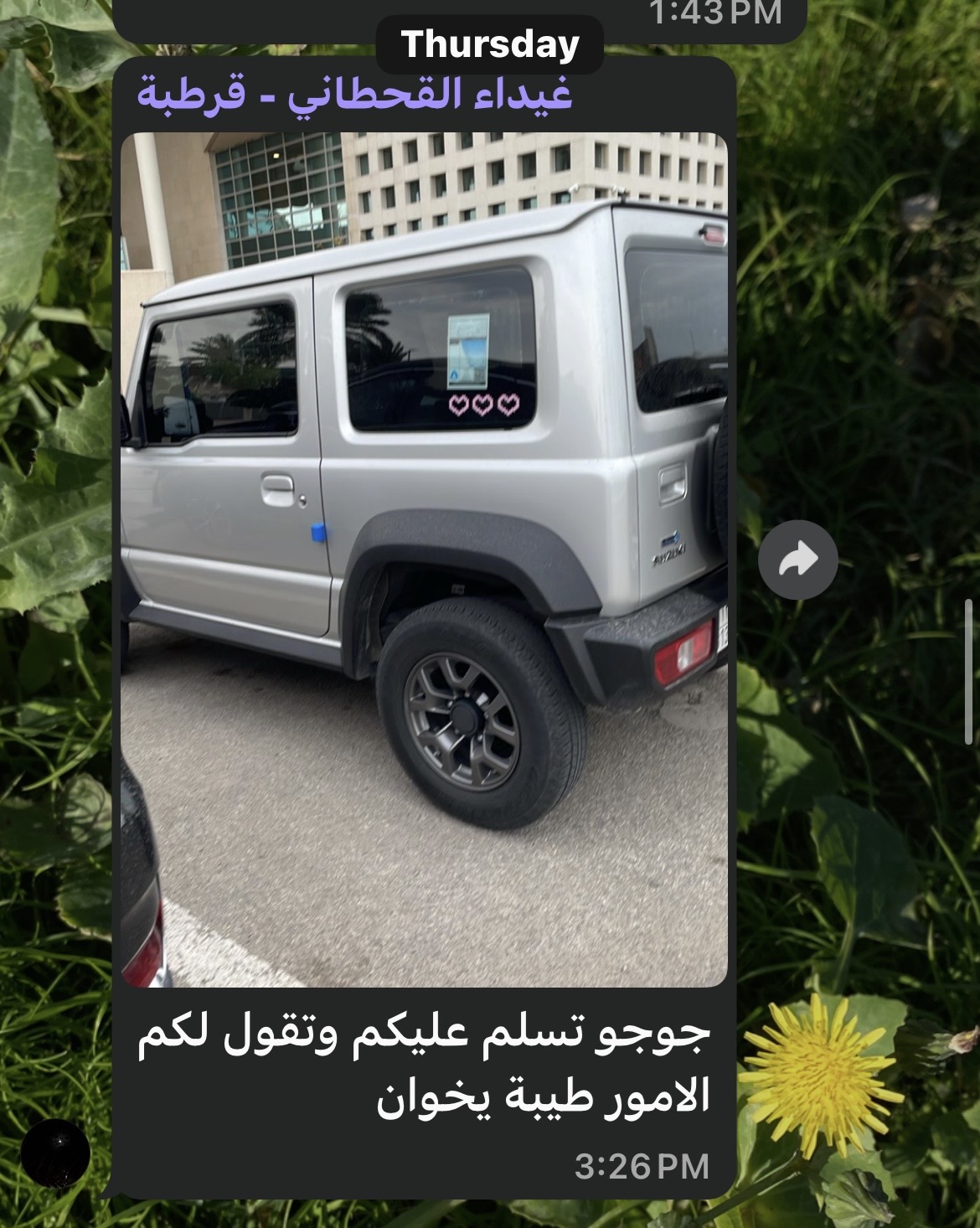 جوجو؛ لقب السيارة